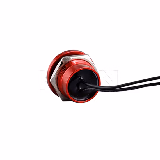 19mm IP68 Waterproof Push Button Switch