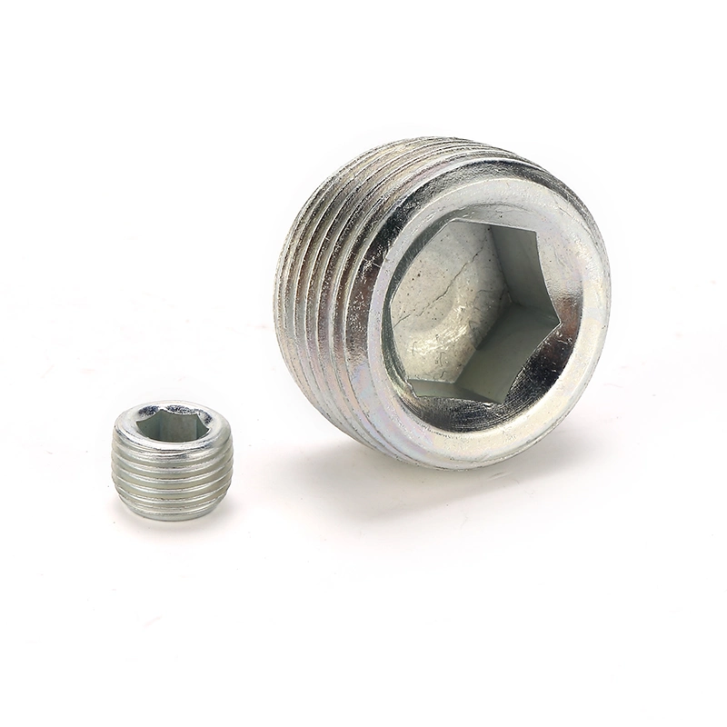 NPT Male Hollow Hex Plug